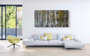 Xiaocun c5 36x71"
